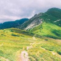 Marcus Chen - SparkHue Success Story